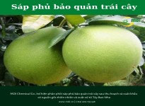 Các cách bảo quản nông sản sau thu hoạch chuẩn xuất khẩu