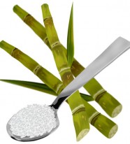 Amylase: Thủy phân tinh bột ngành đường